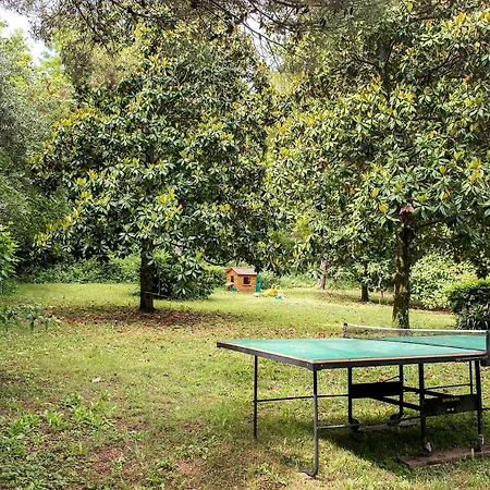 La Colombara - Offagna, Meravigliosa Con Piscina *